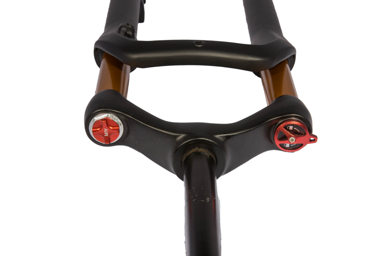 Fork eBP Gaia 20"× 4" (Black & Gold) - Image 6