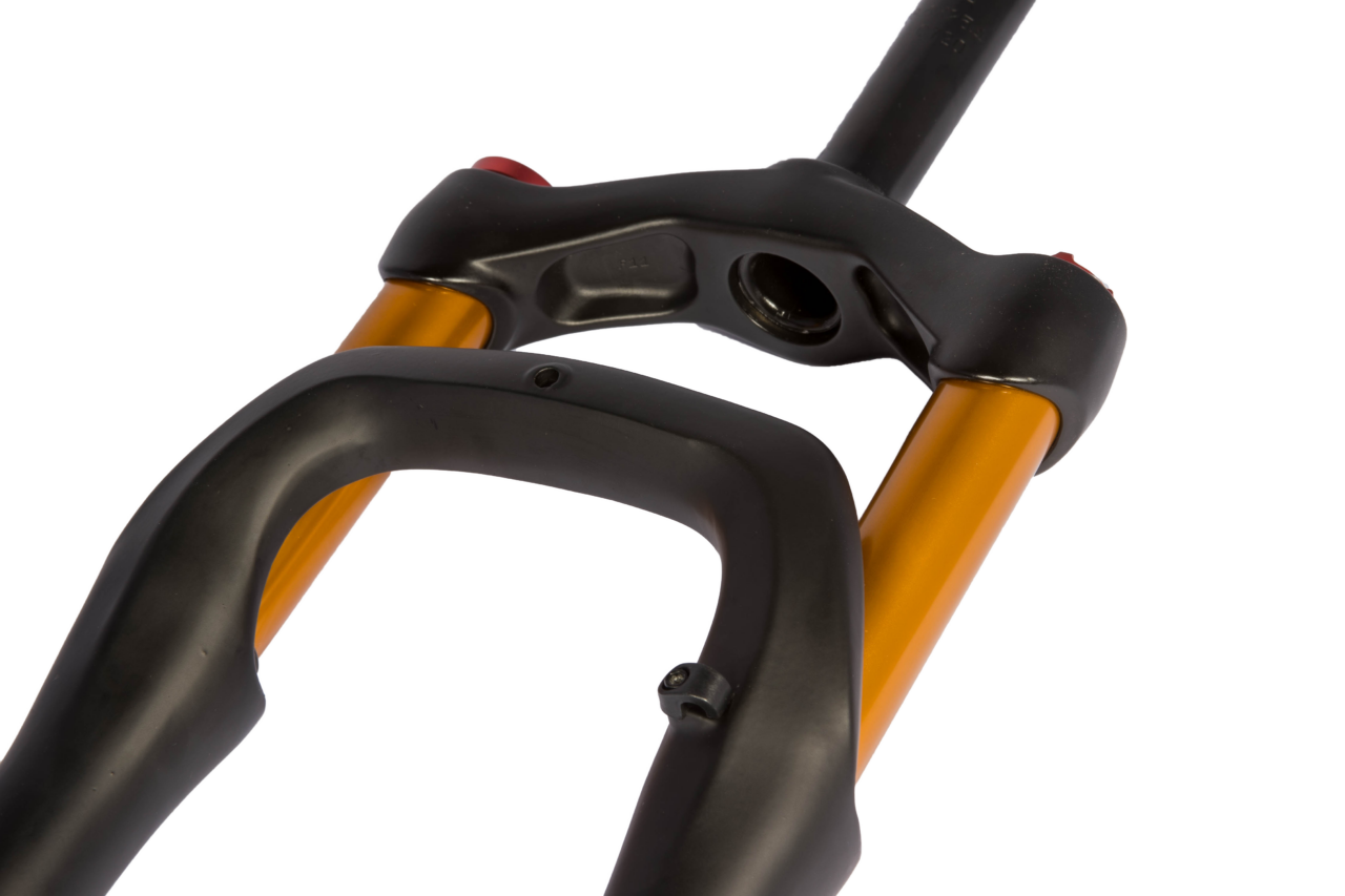Fork eBP Gaia 20"× 4" (Black & Gold) - Image 3