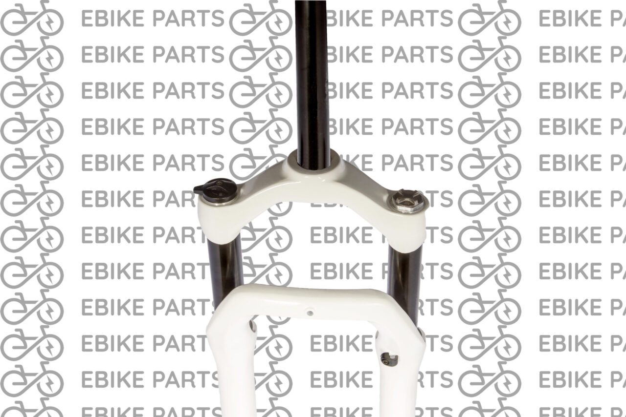 Fork eBP Gaia 20″× 4" (White & Black) - Image 2