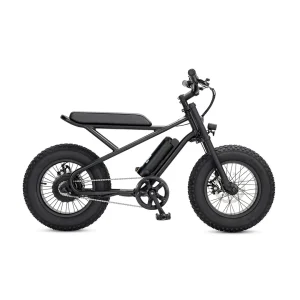 eBP Fun eBike (Black)
