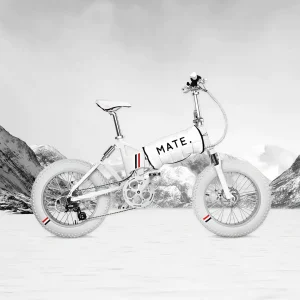 MATE X Moncler 250W (White) Limited Edition