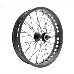 eBP Wheel 20" x 4.0" with Bolted Hub Axle (Black)