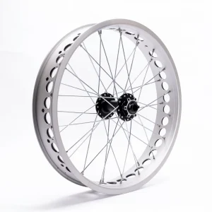 eBP Wheel 20" x 4.0" for Thru-Axle (Silver)