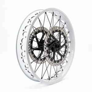 eBP Wheel 20" x 4.0" Dual Brake Hub with Thru-Axle (Silver)